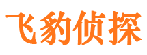 平川出轨调查